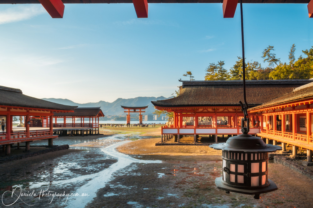 Miyajima Itsukushima Shrine at low tide
